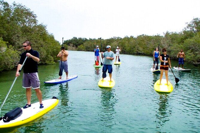 Mangrove Kayaking Abu Dhabi - Practical Tips for Your Mangrove Kayaking Adventure