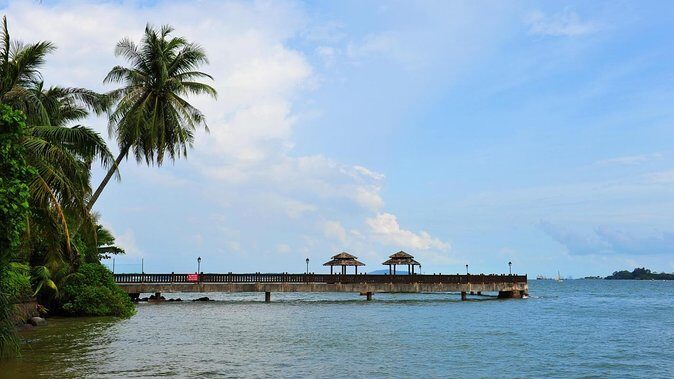 Mangrove Kayaking Adventure in Singapore - Key Points