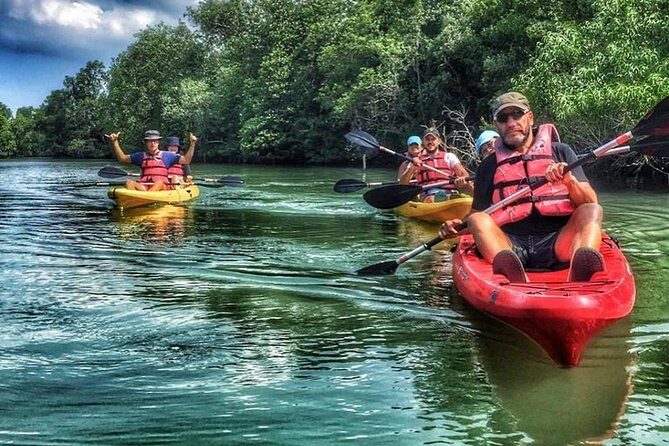 Mangrove Kayaking Adventure in Singapore - An Authentic Nature Escape Close to Singapore’s City Heart