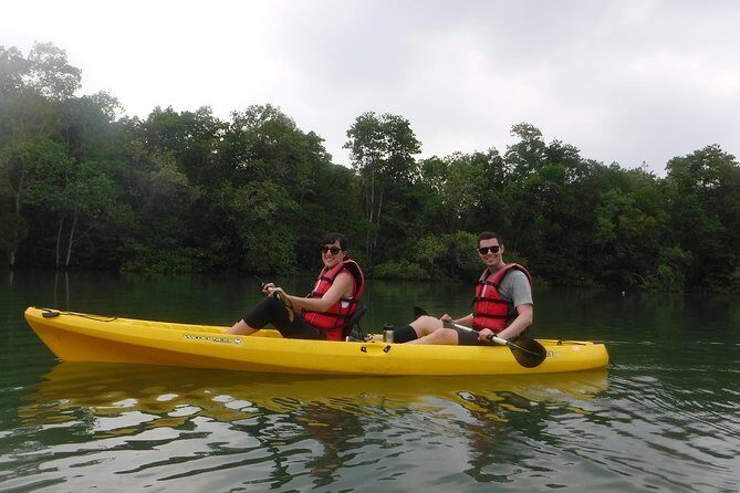 Mangrove Kayaking Adventure in Singapore - Facilities and Comforts
