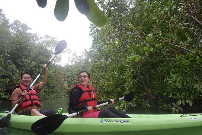 Mangrove Kayaking Adventure in Singapore - The Reviews Say It All