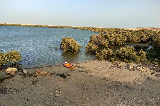 Mangrove Kayaking Purple Island Adventure - FAQ