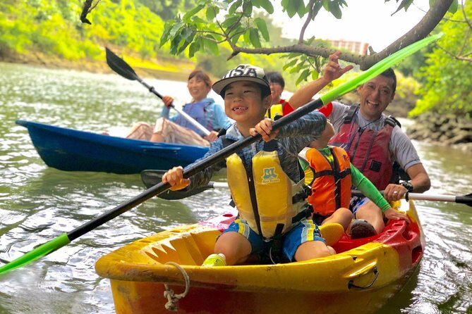 Mangrove kayaking to enjoy nature in Okinawa - A Deep Dive Into the Experience