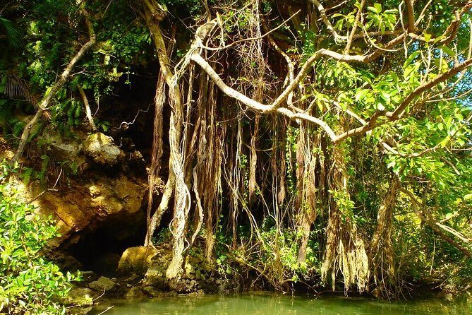 Mangrove kayaking to enjoy nature in Okinawa - Frequently Asked Questions