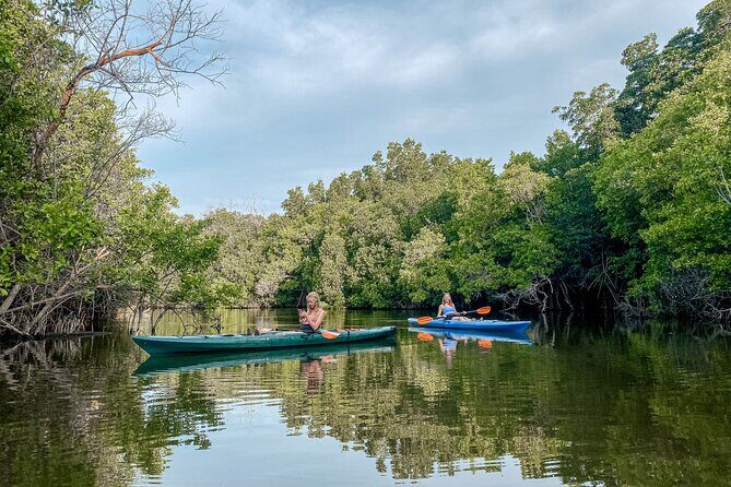 Mangrove Kayaking Tour - What’s Included and What to Bring