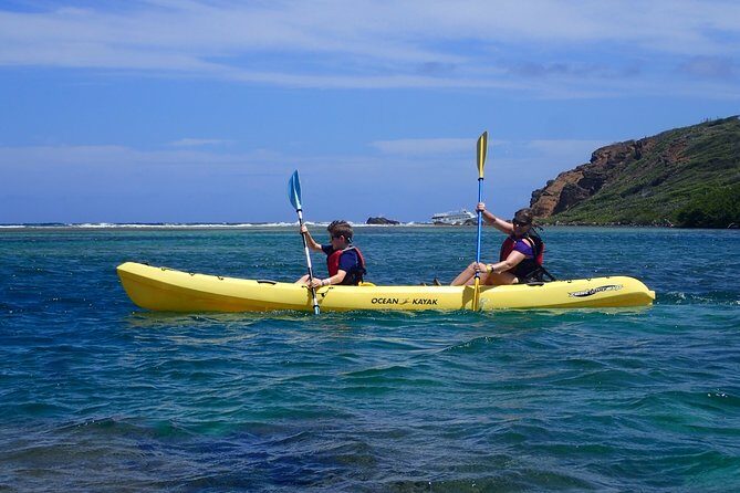 Mangrove Lagoon Kayak Rental in St Thomas - Why This Kayak Rental Stands Out