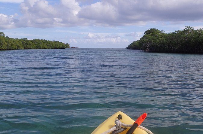 Mangrove Lagoon Kayak Rental in St Thomas - Final Thoughts