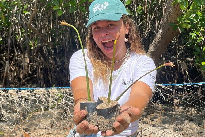 Mangrove Reforestation and Exploration around the Nusa Islands - The Itinerary in Detail