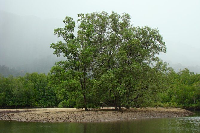 Mangrove River Cruise and Snorkeling Tour from Langkawi - Detailed Breakdown of the Itinerary