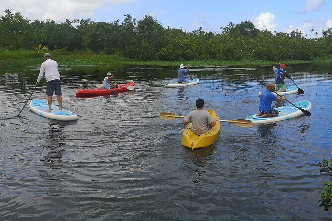 Mangrove to Lagoon Kayak and Paddleboard Adventure - Including Key Facilities & Extras