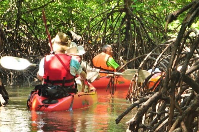 Mangrove Tour by Kayaking in Ko Lanta With Lunch - An Honest Look at the Mangrove Kayaking Experience