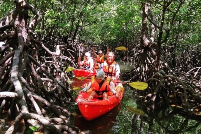 Mangrove Tour by Kayaking in Ko Lanta With Lunch - FAQ: Your Practical Questions Answered