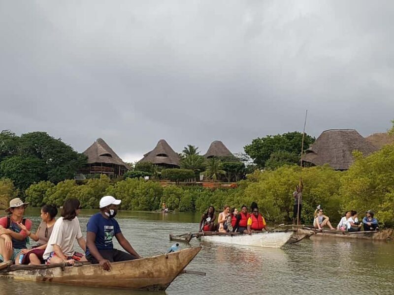 mangrove tour - What to Expect from the Tour