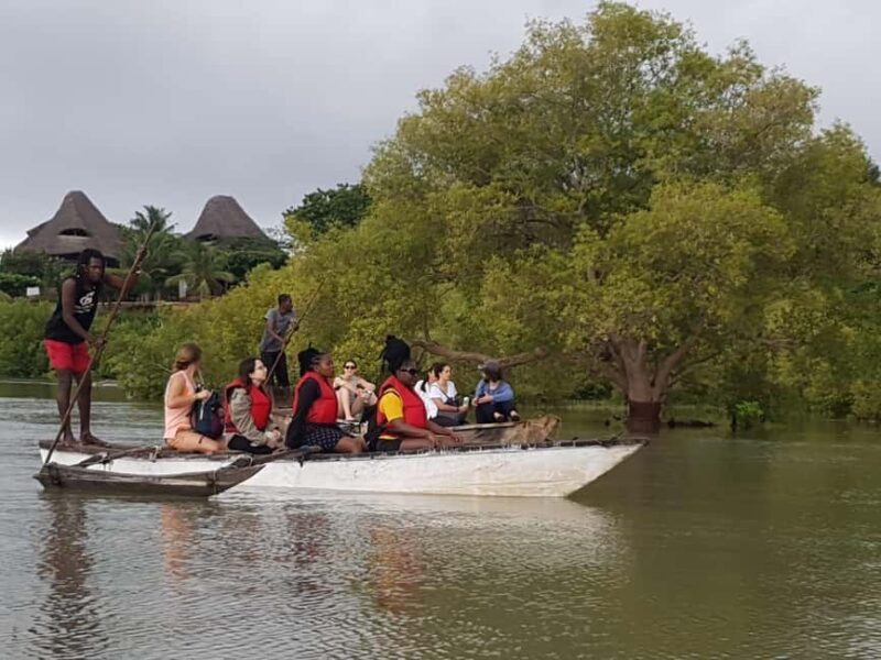 mangrove tour - Critical Takeaways from Reviews