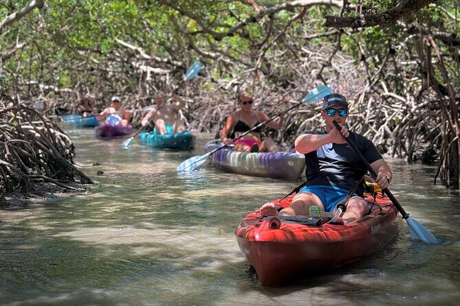 Mangrove Tunnel Kayak Tour To Shell Key - St. Pete, FL - An In-Depth Look at the Tour Experience
