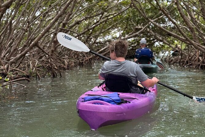 Mangrove Tunnel Kayak Tour To Shell Key - St. Pete, FL - Frequently Asked Questions