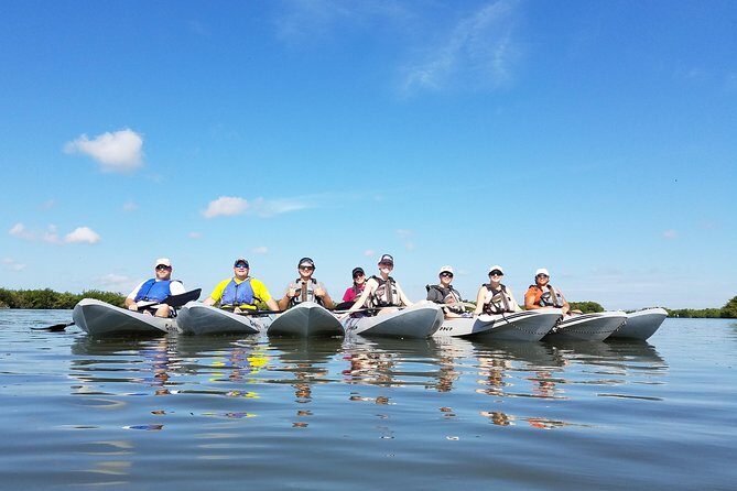 Mangrove Tunnels, Dolphins, Manatee Tour #1 Rated in Cocoa Beach - The Itinerary: What to Expect on the Water