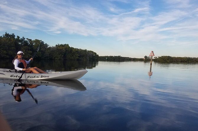 Mangrove Tunnels, Dolphins, Manatee Tour #1 Rated in Cocoa Beach - The Sum Up: Who Should Consider This Tour?