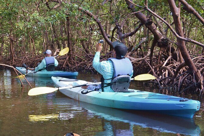 Mangrove Tunnels Kayak Tour (Photographer Included)- Marco Island - Navigating the Itinerary