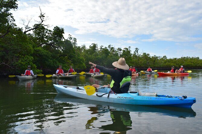 Mangrove Tunnels Kayak Tour (Photographer Included)- Marco Island - FAQs
