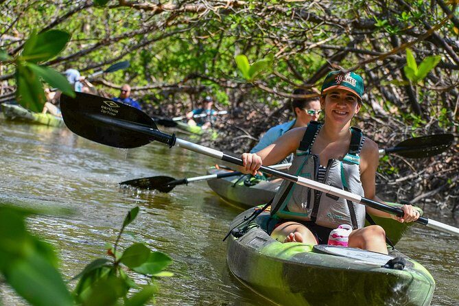 Mangrove Tunnels & Mudflats Kayak Tour - Local Biologist Guides - An In-Depth Look at the Tour Experience