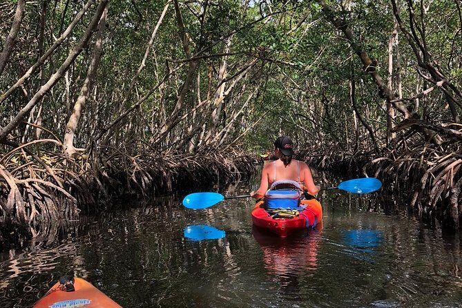 Mangrove Tunnels Pedal Kayak Eco-Tour in Anna Maria - The Value of the Experience