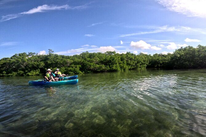 Mangrove Tunnels Pedal Kayak Eco-Tour in Anna Maria - Authenticity and Small-Group Dynamics