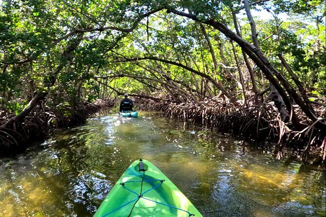 Mangrove Tunnels Pedal Kayak Eco-Tour in Anna Maria - Who Will Love This Tour?