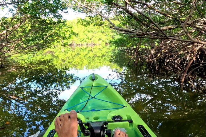 Mangrove Tunnels Pedal Kayak Eco-Tour in Anna Maria - Final Thoughts