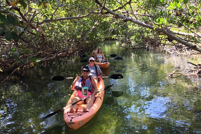Mangroves and Manatees - Guided Kayak Eco Tour - Introduction