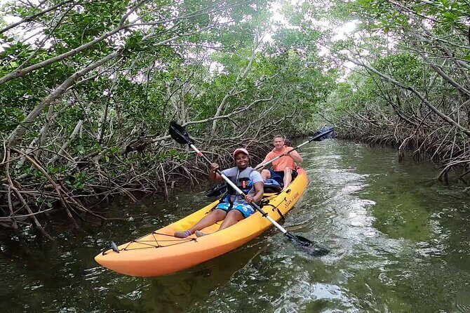 Mangroves and Manatees - Guided Kayak Eco Tour - The Experience from a Traveler’s Perspective