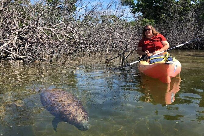 Mangroves and Manatees - Guided Kayak Eco Tour - Who Is This Tour Best For?