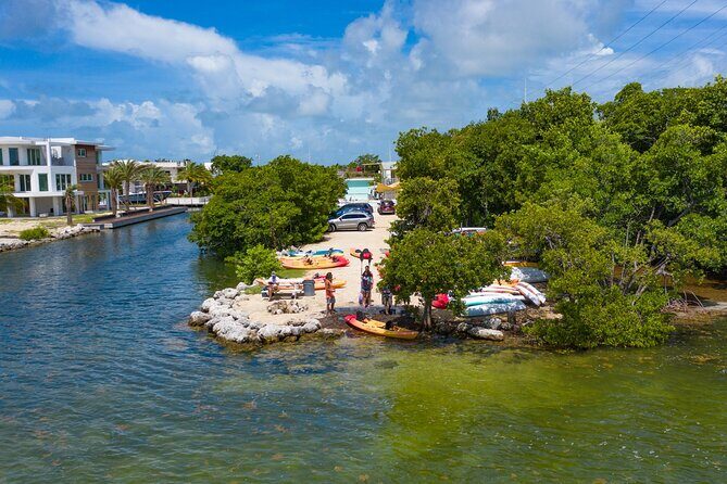 Mangroves and Manatees - Guided Kayak Eco Tour - The Sum Up