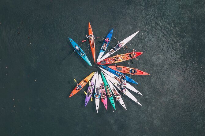 Mangroves and Mansions Guided Kayak Tour on the Noosa River - Why This Tour Suits You