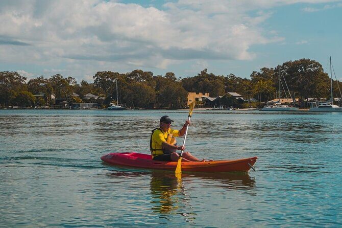 Mangroves and Mansions Guided Kayak Tour on the Noosa River - Final Thoughts: Is It Worth It?