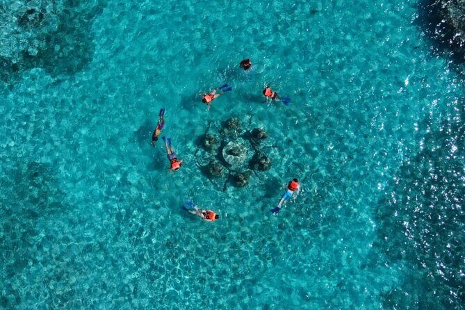 Mangroves and Punta Nizuc Snorkel Adventure by Speedboat - The Sum Up