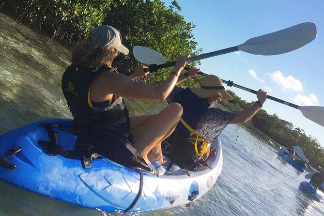 Mangroves Kayak Tour - Introduction: Why This Tour Stands Out