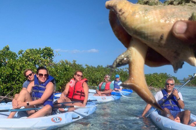 Mangroves Kayak Tour - FAQ