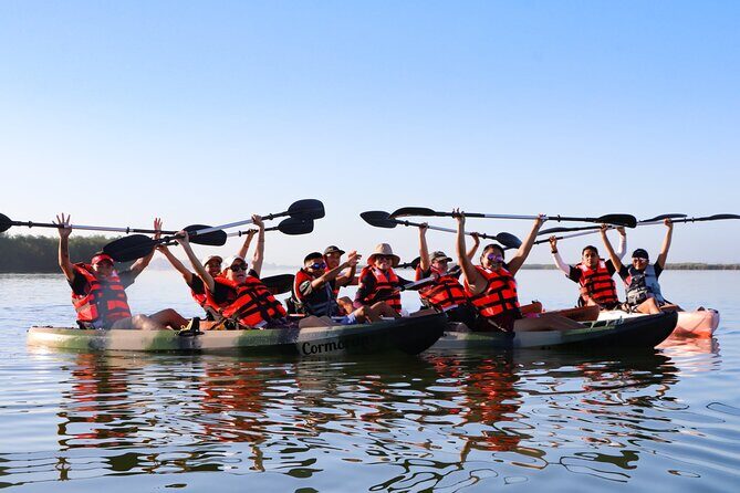 Mangroves Kayaking Tour from Cancun - What to Expect on Your Kayaking Adventure