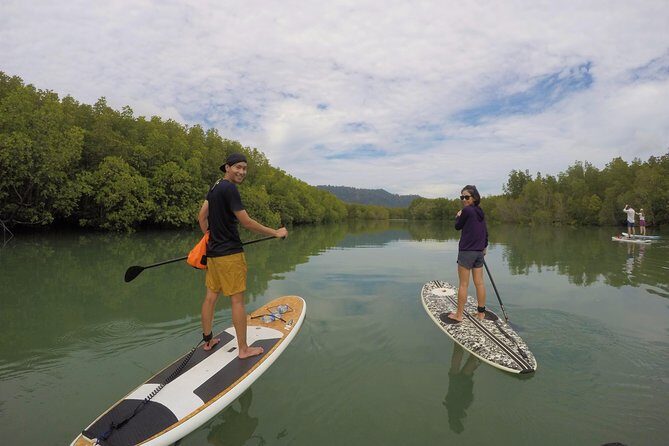 Mangroves SUP Tour Phuket - What You Can Expect from the Mangroves SUP Tour