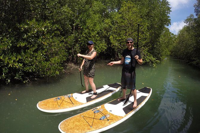 Mangroves SUP Tour Phuket - The Sum Up