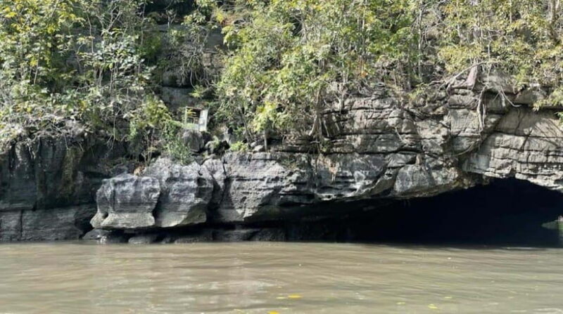 Mangrovetour Sharing Package - Lunch include in Langkawi - Key Points