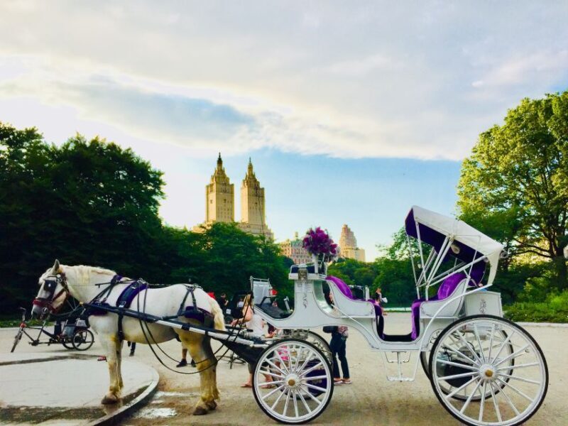 Manhattan: VIP Private Horse Carriage Ride in Central Park - Introduction: Setting the Stage for an Elegant Escape