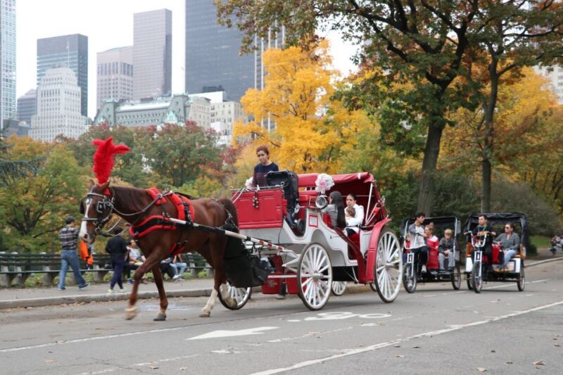 Manhattan: VIP Private Horse Carriage Ride in Central Park - The Value: Is it Worth the Price?