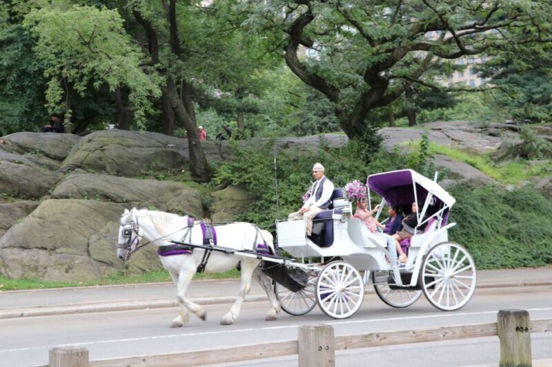 Manhattan: VIP Private Horse Carriage Ride in Central Park - Authentic Experiences and Tips
