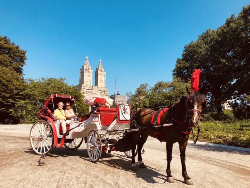 Manhattan: VIP Private Horse Carriage Ride in Central Park - Who Should Consider This Tour?