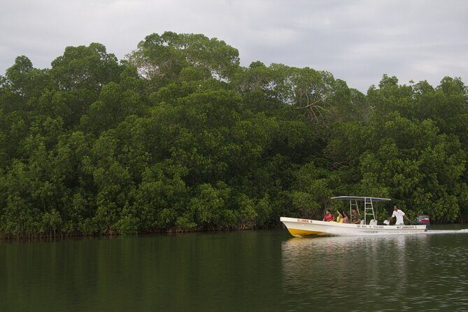 Manialtepec Lagoon from Puerto Escondido - What to Expect from the Tour: A Deep Dive into the Itinerary