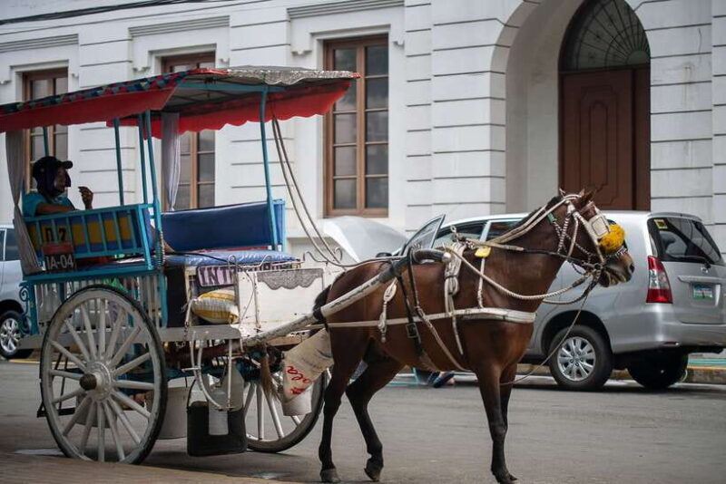 Manila: Sightseeing and Food Walking Tour with Tastings - Who Will Enjoy This Tour?