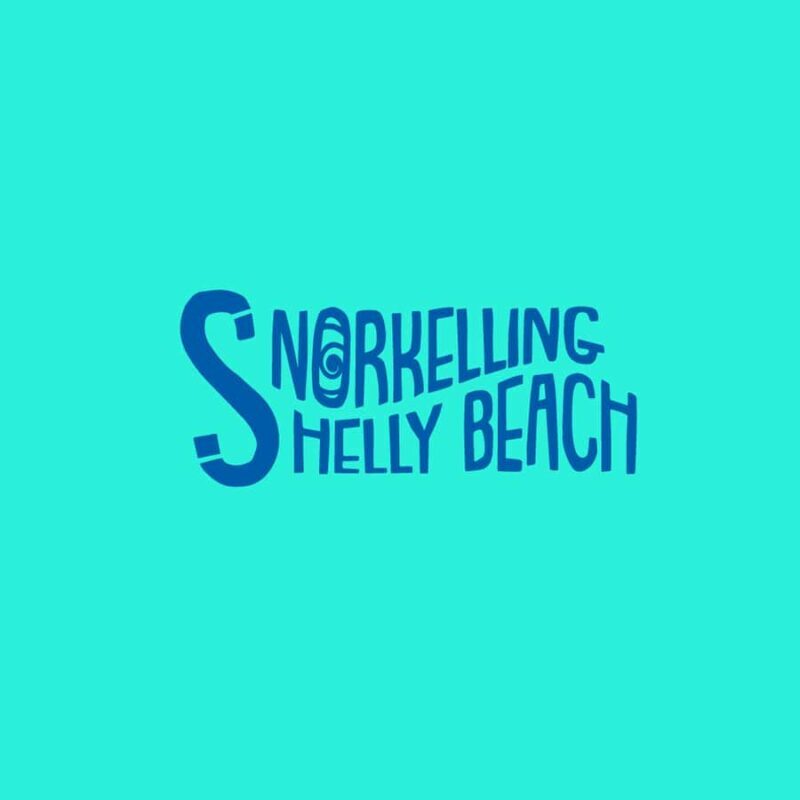 Manly Beach Guided Snorkeling Tours - An Authentic Snorkeling Experience at Manly Beach