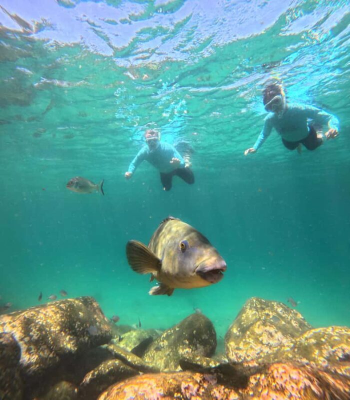 Manly Beach Guided Snorkeling Tours - Practical Tips for Participants
